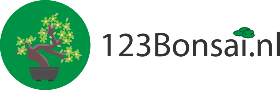 123 bonsai logo