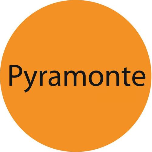 logo pyramonte